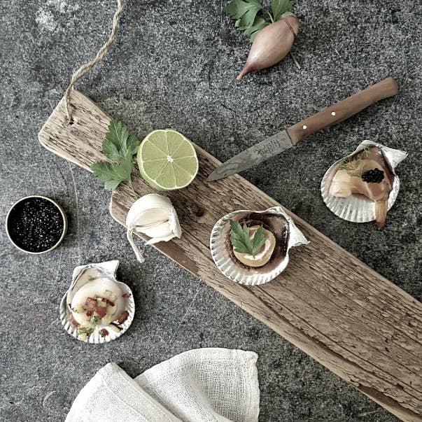 Amuse Shells - Image 4