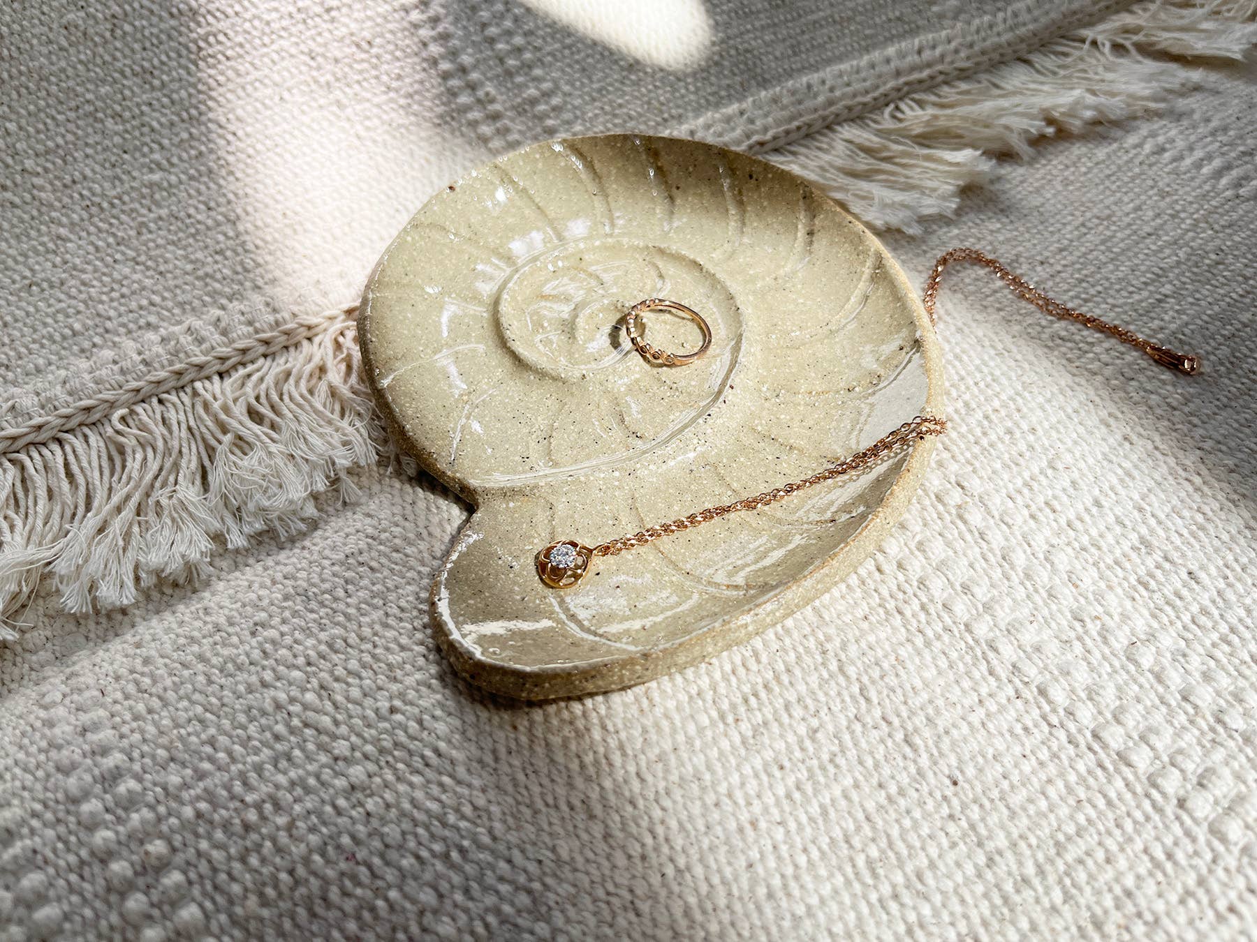 Nautilus Seashell Small Dish