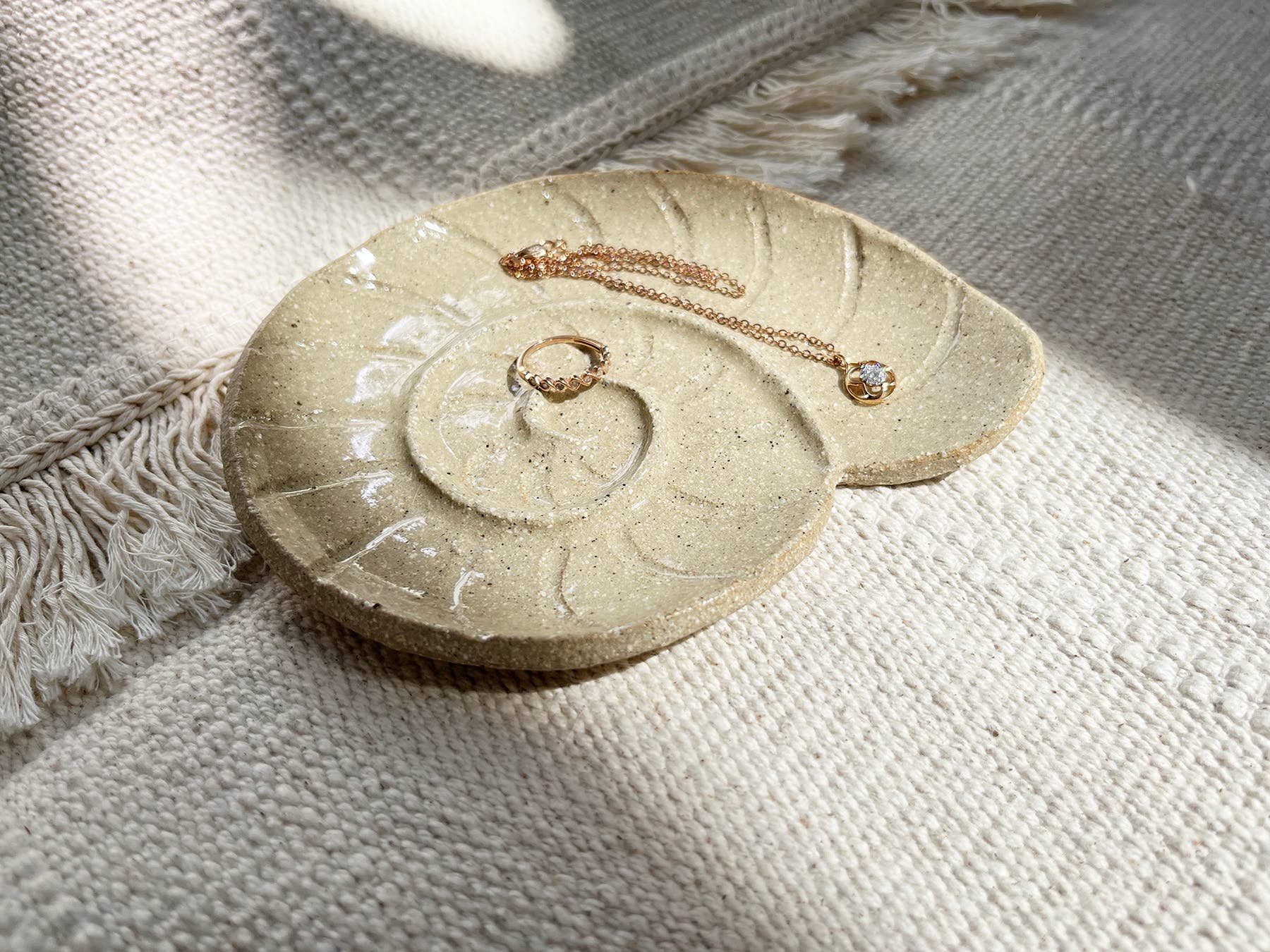 Nautilus Seashell Small Dish - Image 2