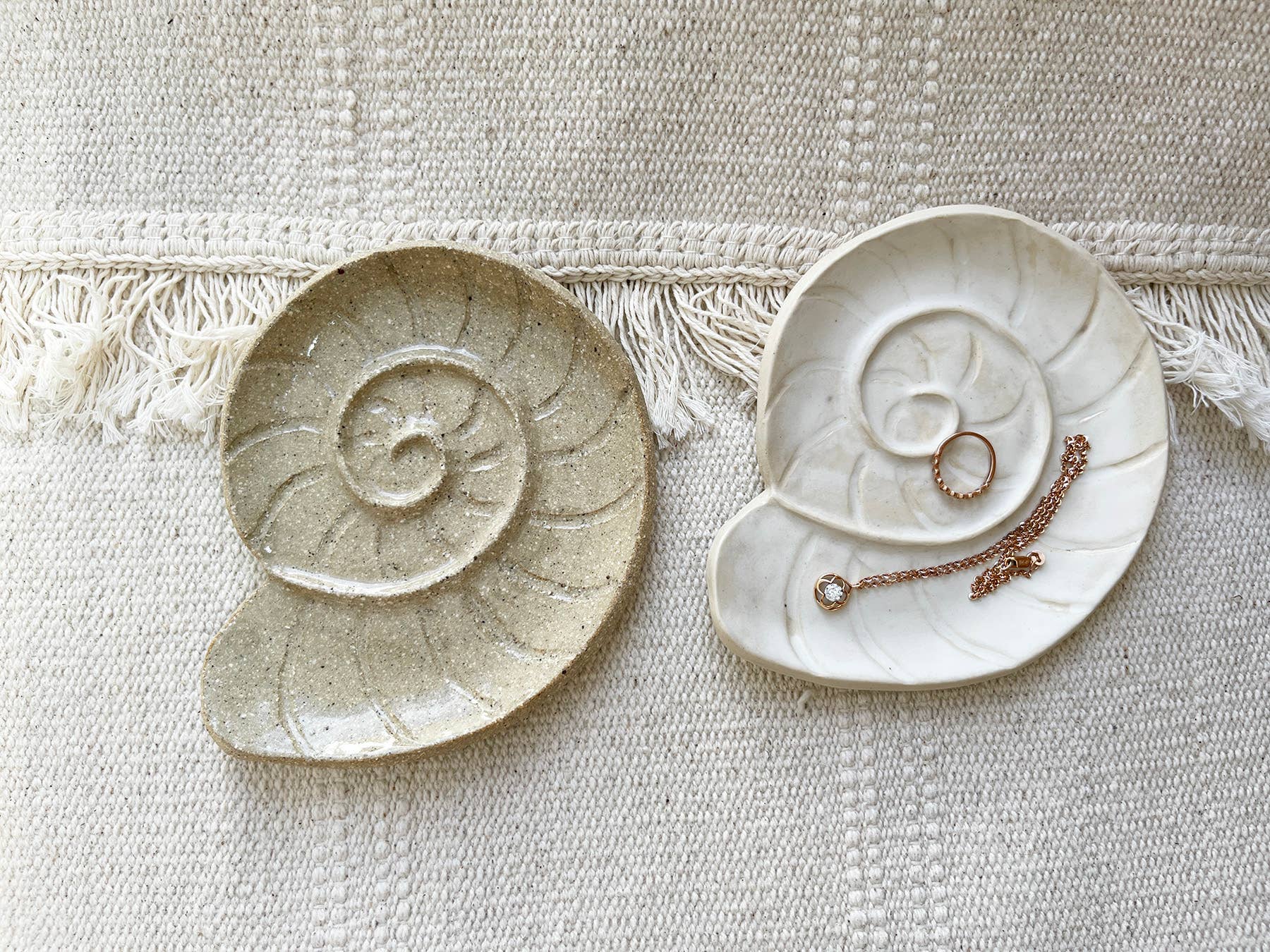Nautilus Seashell Small Dish - Image 3