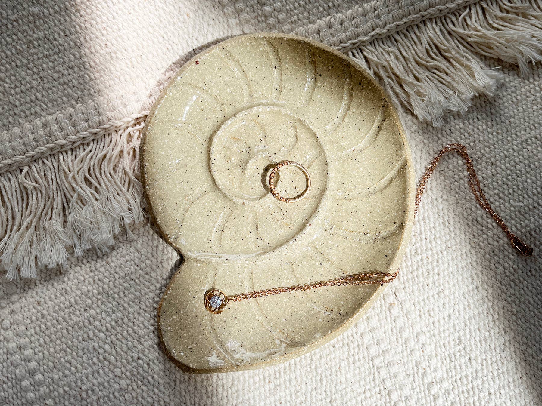 Nautilus Seashell Small Dish - Image 4