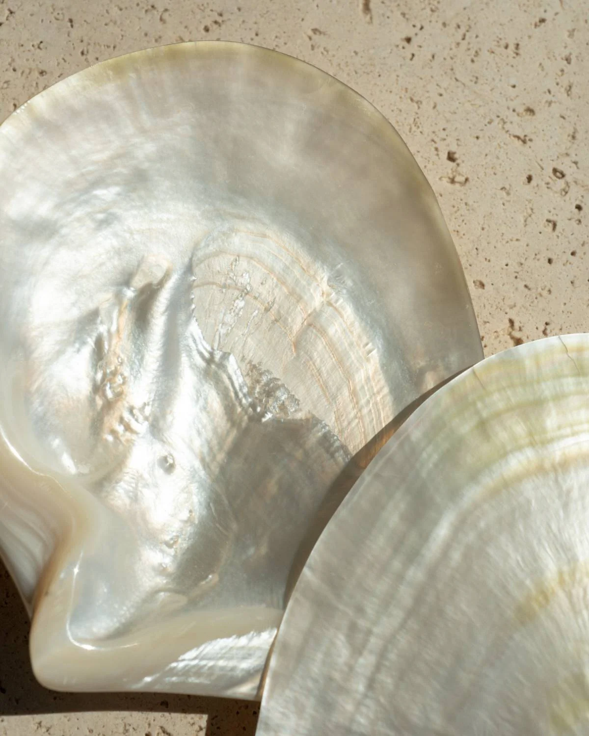 Polished Mother of Pearl Shell - Image 3