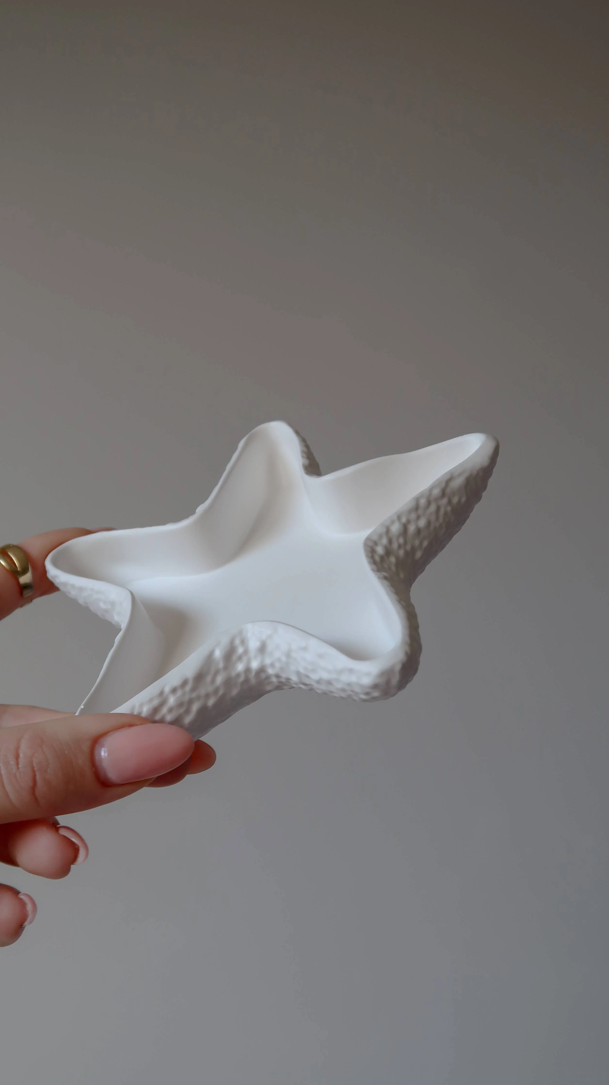 Seastar Jewellery Dish - Image 4