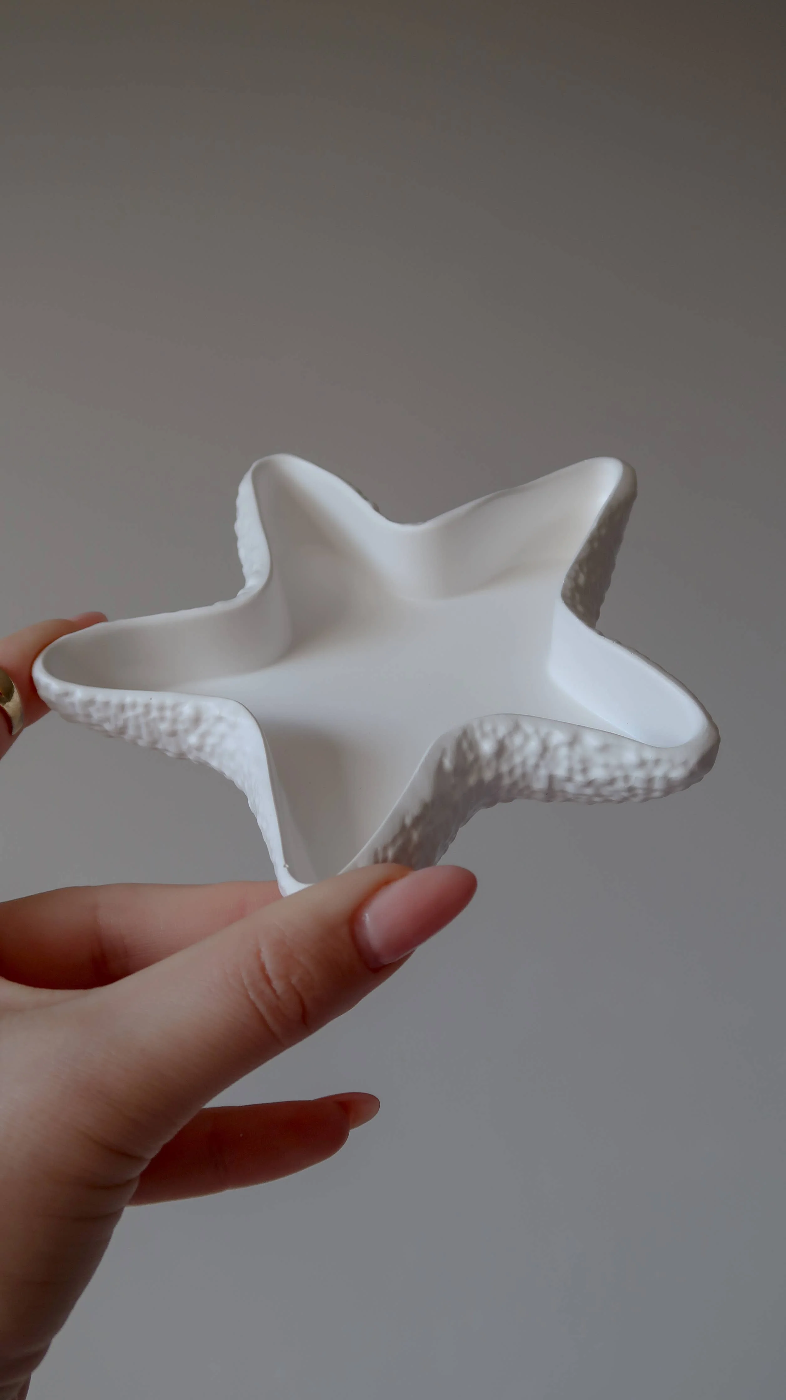 Seastar Jewellery Dish - Image 6