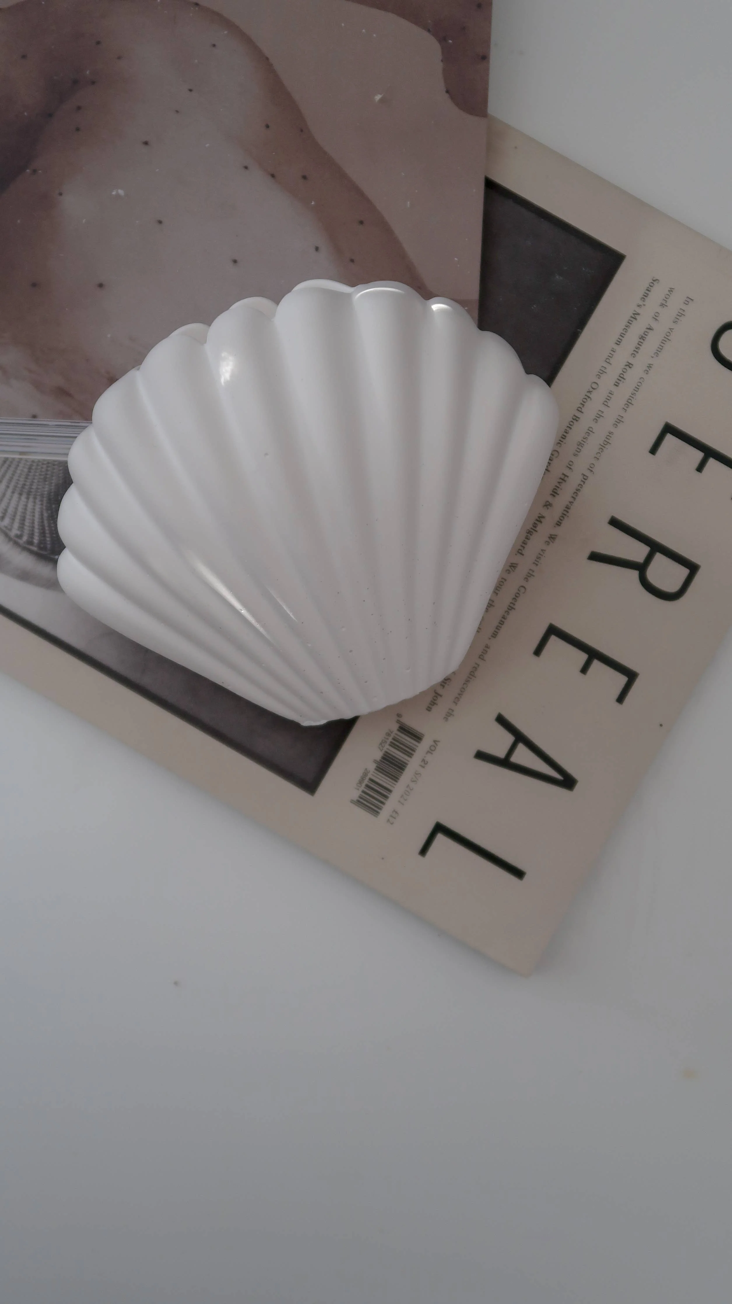 Shell Vase for Dry Flowers - Image 3