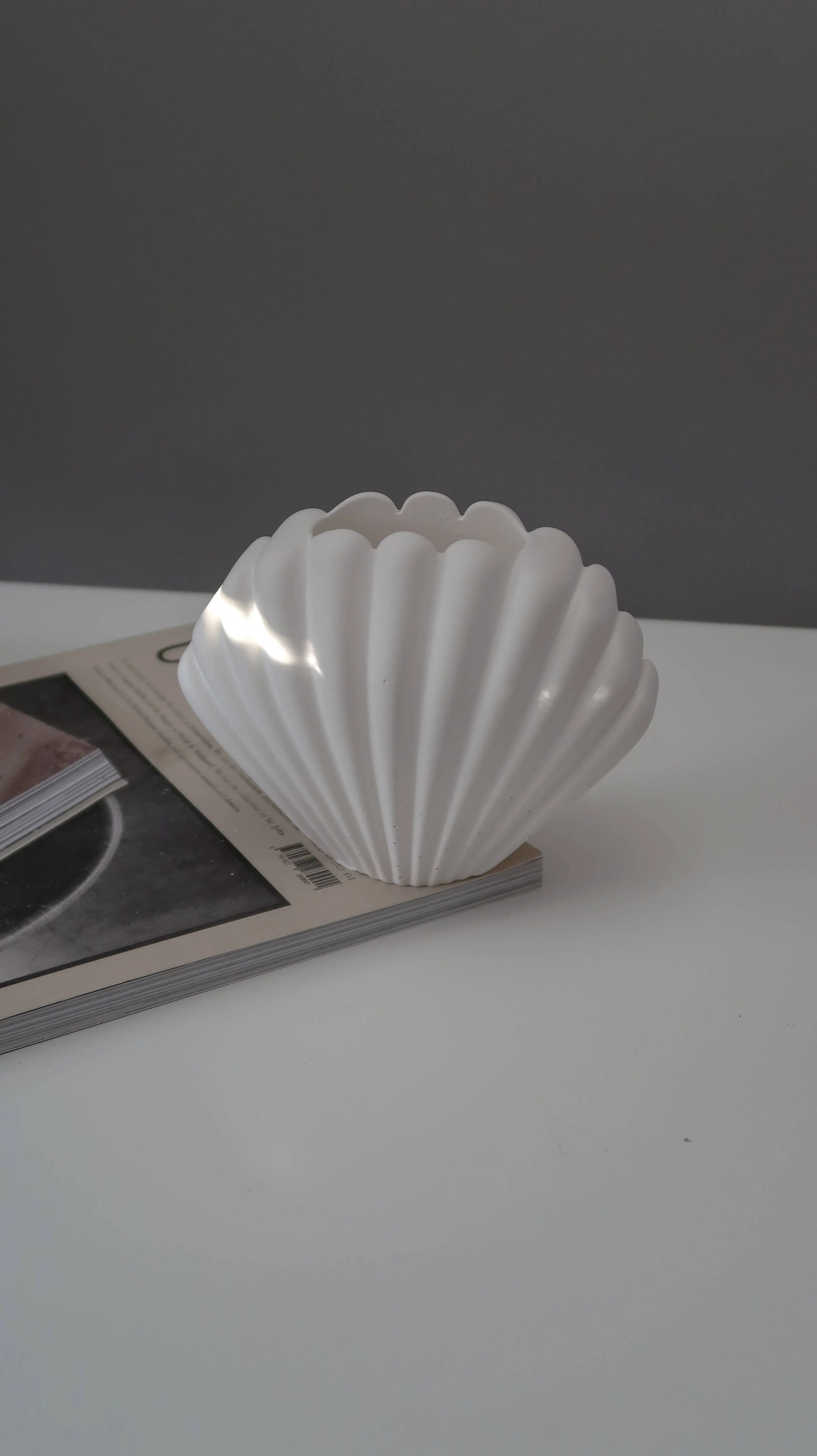 Shell Vase for Dry Flowers - Image 4